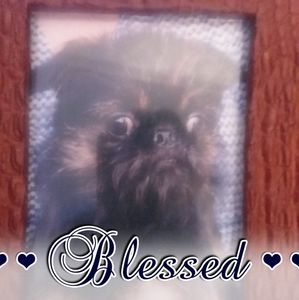 Meet your Posher, Robbie